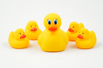 Rubber Duckie and Ducklings