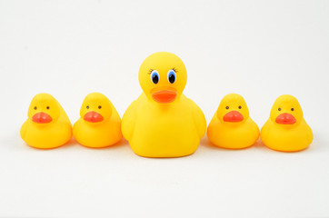 Rubber Duckie and Ducklings