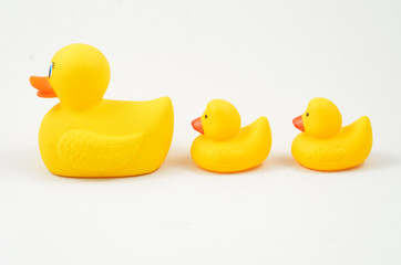 Rubber Duck and Ducklings