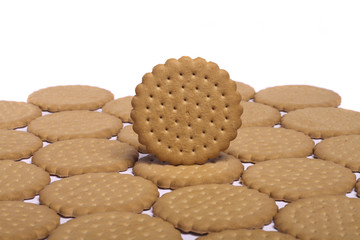 many biscuits