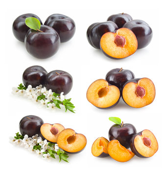 set of black plums images