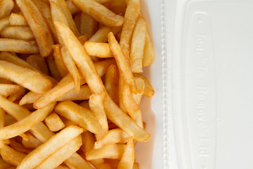 French Fries in Take Out Container
