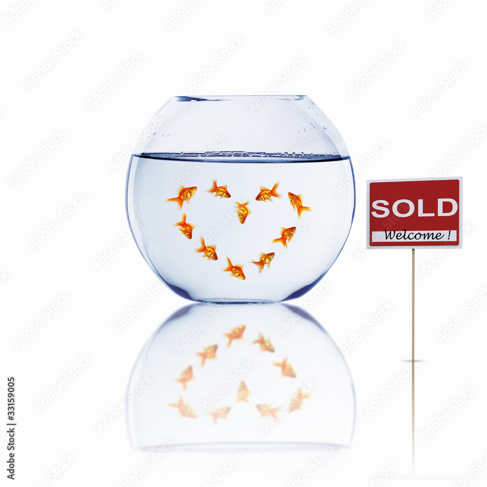 Wall mural gold fish in a fishbowl