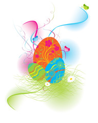 Eastern Rabbit searching eggs