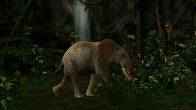 Elephant Walking Through The Jungle