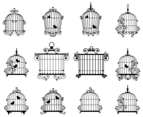 Photo sur Plexiglas Oiseaux en cages cage à oiseaux