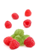 himbeeren