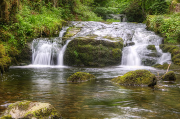 Stunning waterfall flowing over rocks through lush green forest