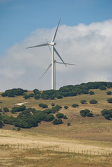 Wind energy. Cadiz. Andalucia.