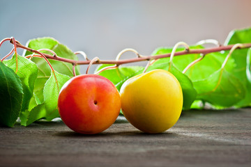 plum on wood background leaf