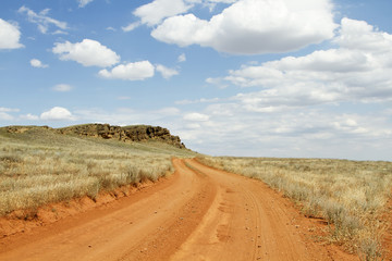 country road in the fields