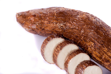 cassava root