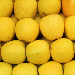 golden delicious  apple background