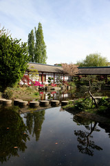 Fototapeta na wymiar jardin japonais