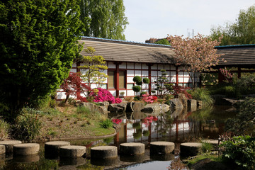 jardin japonais
