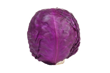 Obraz premium Red cabbage