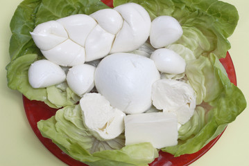 mozzarelle miste