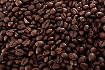 roasted beans of coffee