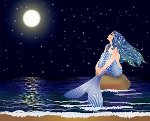 Foto op Plexiglas Nacht zeemeermin, vectorillustratie © CaroDi