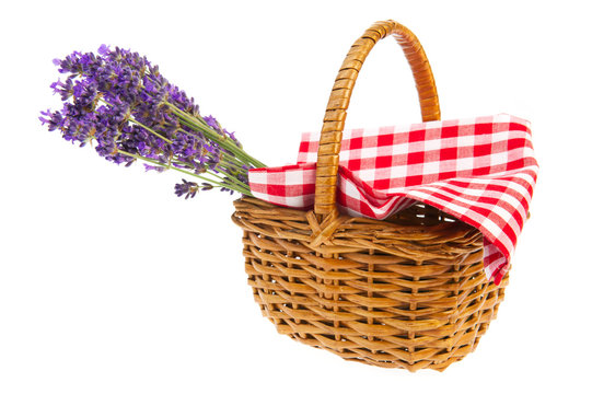 Bouquet Lavender in basket