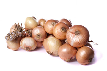 bunch of onions
