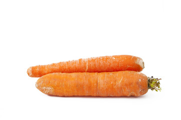 Vegetable