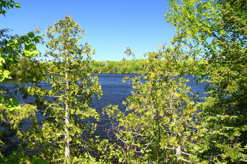 Fototapeta na wymiar Little Horsehead Lake - Wisconsin