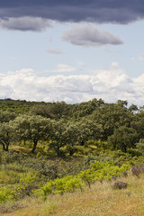 Fototapeta na wymiar Wnętrze Algarve