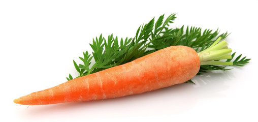 carrots with leaf