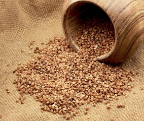 buckwheat