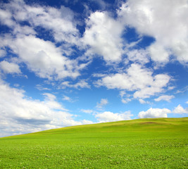 green hill with grass under sky