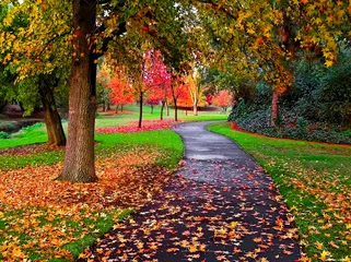 Cercles muraux Automne Autumn in the park