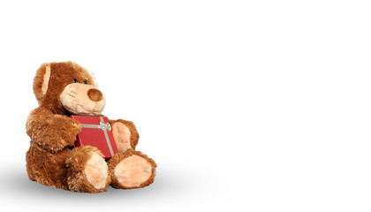Teddy Bear with gift isolated on white