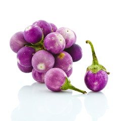 Violet pea eggplant isolated on white background