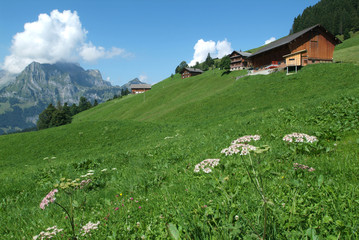 fattorie nelle alpi svizzere