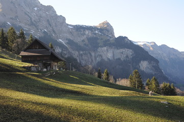 Fototapeta na wymiar Contadino nella sua fattoria nelle alpi svizzere