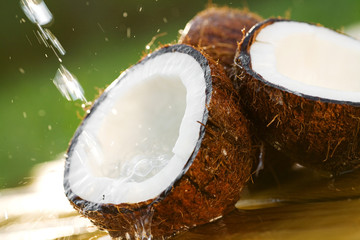 Coconut