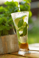 Fresh cocktail with mint and lemon