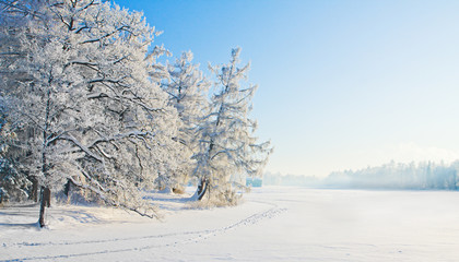 Fototapeta na wymiar Winter park w śniegu