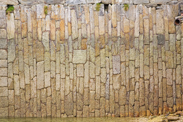 Harbour wall covered with limpet shells