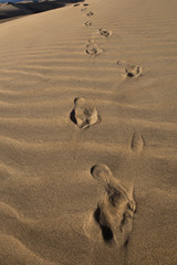 Fototapeta na wymiar Fussspuren im Sand