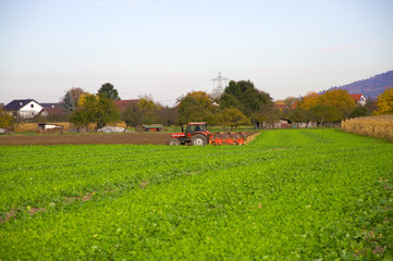 Fototapeta premium Landwirtschaft