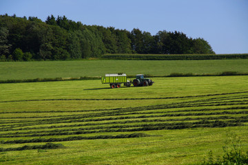 Naklejka premium Heuernte
