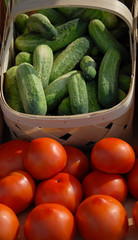 Tomatoes and cukes