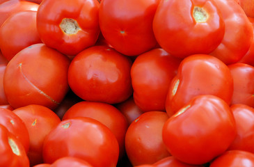 Tomatoes
