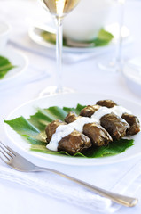 Turkish dolmades