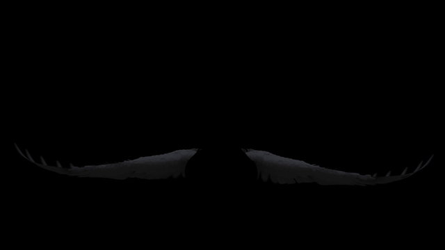Black Angel Wings