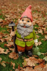 Obraz premium Gnome and Autumn leaves