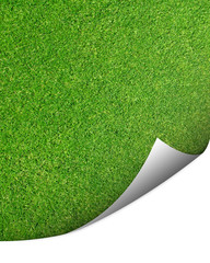 green cut grass background with corner turned for copy space