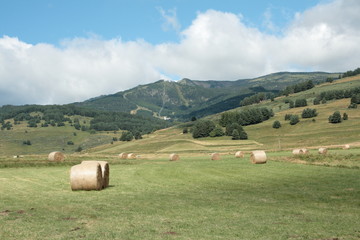 Paririe de fauche,Capcir